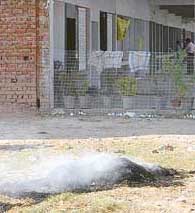 Garbage being burnt in small piles on the road dividing Sectors 17 and 16 in Panchkula on Saturday morning. 