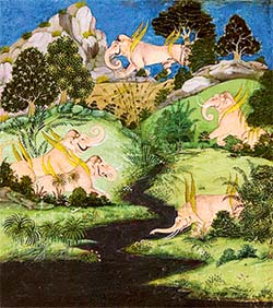 Fabled beasts in a landscape, ca. 1720