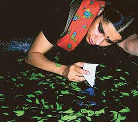 Ramanjeet enchants as Rani in Naga-Mandala as she pines for love