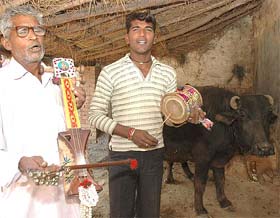 Ram Swaroop and Sohan Lal play music for the cattle in Rattewali village, near Panchkula