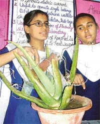 Students of Government Girls Senior Secondary School, Kurali, explain how power is produced by Aloe vera during a district science exhibition that started in Mohali