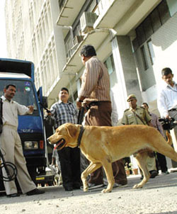 The bomb disposal squad searching the Police Headquarters in the Capital on Sunday after an unidentified caller claimed that a bomb had been placed inside the building