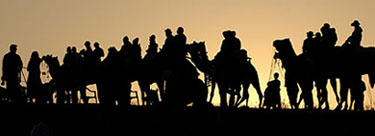 Tourists are silhouetted against the rising sun as they get ready to go on a camel ride during the camel fair in Pushkar on Sunday. The Pushkar Camel Fair, held between November 9 and 15, is one of the worlds largest livestock fair in the world. Some 50,000 camels and an equal number of cattle are to be traded during the week.
