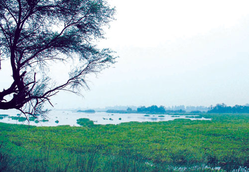 Photo: S.S. Chopra