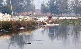 A view of the polluted Budda Nullah