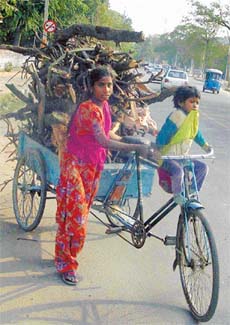 WINTER RECIPE FOR THE POOR: A girl carts away dry wood to fight the cold in Chandigarh
