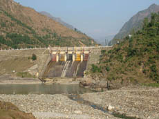 The BBMB is not releasing the required amount of water from the Pandoh dam into the Beas in violation of the environment laws. 