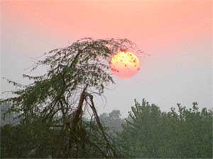 The sun sets on the horizons of Ludhiana after a bright sunny day on Tuesday