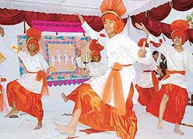 Students of Government Model Senior Secondary School, Sector 44, perform bhangra at their annual function in Chandigarh