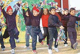 Children perform at the annual song and rhyme day at Yadavindra Public School at Mohali