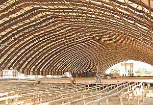 The inside view of the huge "pandal" erected at the Punjab and Haryana High Court for the golden jubilee function of the High Court building.