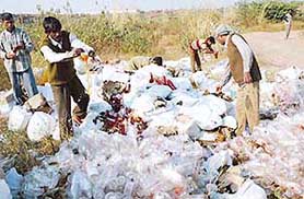 Excise officials destroyed 30,000 bottles of country-made liquor, by emptying 22, 500 litres of liquor on the Ghaggar river bank, in Panchkula on Thursday. This liquor was seized by the excise authorities from smugglers and stored as case property in a godown.