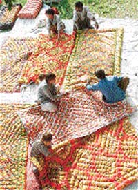 NIGHT WITH A BITE: After dusk, these colourful quilts keep one warm till day break