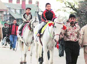 From the days of the Raj, horses are an integral part of life in Shimla. A visit to this hill-station is incomplete without a horse ride on the ridge.