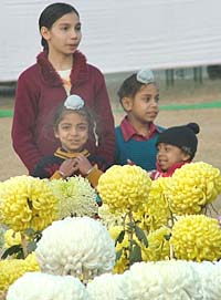 Kids gaze at chrysanthemums in full bloom at the Flower and Baby Show in Burlton Park in Jalandhar on Sunday.