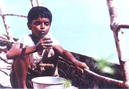 A still from Iranian film "Iron Island", that won the top honours at the 36th IFFI in Panjim on Sunday.