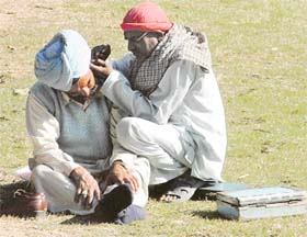 A visitor to the Mini Secretariat gets his ear cleaned while waiting for his turn at a government office in Ludhiana