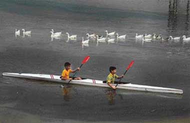 These kids go against the tide and the ducks