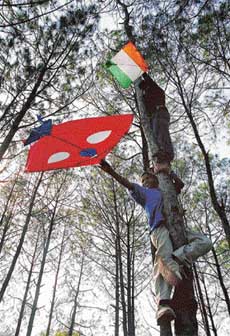 Walking on air: These kids have found a tree which bears kites and they rise above to fetch them