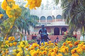Marigolds in full bloom at Maharaja Ranjit Singh War Museum seem to be offering their tribute to the Sikh ruler in Ludhiana
