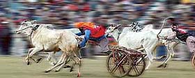 The photograph of cart race at Kila Raikot that won Rakesh Syal an award