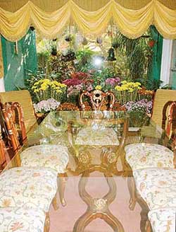 A view from her dining room