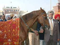 Sunny the Kid at the Wagah border on Saturday. 