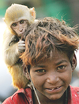 A beggar looks on, with a monkey perched on his shoulder, in New Delhi on Monday