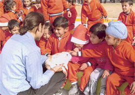 Students of Kids-R-Kids school play with a pet rabbit at a workshop organised by the People For Animals on the school premises in Chandigarh on Wednesday.