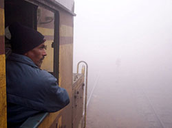 A train driver tries to figure out the signal prior to its arrival at Bathinda railway station on foggy Wednesday morning. 