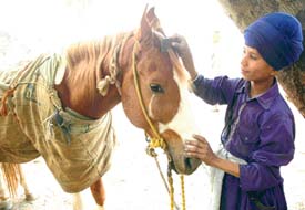 Gurcharan Singh (12) prepares to participate in a procession of Nihangs at Chamkaur Sahib on Wednesday.