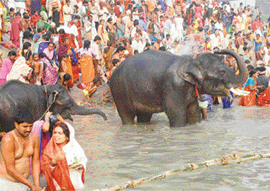 The fair begins with a holy dip in the Gandak.