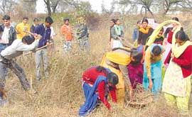 NSS volunteers remove wild growth at a camp in Government College, Mohali, on Monday. 