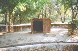 A thatched hut made for deer in the Mahendera Chaudhary Zoological Park, Chhatbir, for protecting them from the harsh winter.