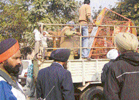 An anti-encroachment drive by the Municipal Corporation staff in progress in Phase V, Mohali, on Friday.