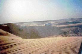 The desert safari makes a trip to Dubai special