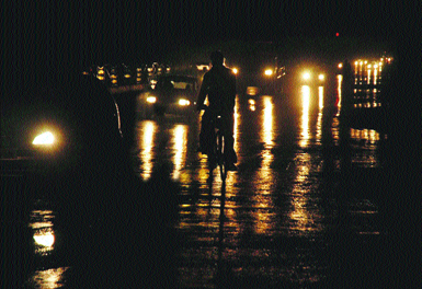 Tribune photo by Pawan Sharma
