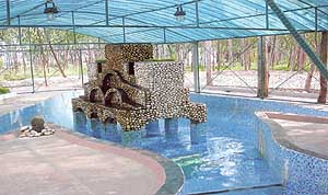 The fish pond at the Ranbaxy Toansa plant.