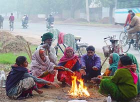 Migrant labourers make bonfire of dead leaves and dry wood to beat winter chill in Chandigarh