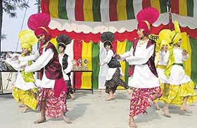 NSS volunteers of Shanti Tara College, Ahmedgarh, present bhangra at the closing ceremony of a camp in Mandi Ahmedgarh
