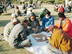 The older generation in city lazes in the sunshine with cards for company in a park on Friday. 