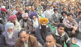 A gathering at the bhog ceremony of Data Ram Sharma in Mandi Ahmedgarh