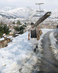 A Pakistani earthquake survivor carries timber in a snow-clad area of Batal, 180 km from Islamabad, on Saturday.