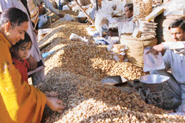Heaps of groundnut at the entry to the Grain Market in Sector 26, Chandigarh, on the eve of Lohri on Thursday.