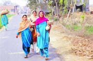  It is sunny side up for these villagers even in biting chill