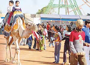 The annual fest being organised by Mount Carmel in Sector 47, Chandigarh, on Saturday.