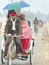 A light drizzle forces a family to use umbrella while the continuing cold wave brought down the temperature in Chandigarh on Sunday
