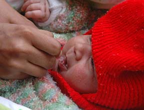 A month-old baby being administered polio drops during the pulse polio campaign in Jalandhar on Sunday. 