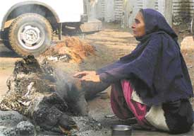 A woman burns a log to keep herself warm in Phase I of Mohali