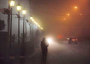 Streetlights pierce into the thick layer of fog that enveloped Ludhiana on Thursday. 